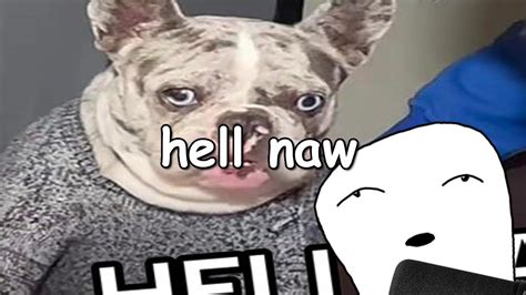 Hell Naw Dog Meme Youtube