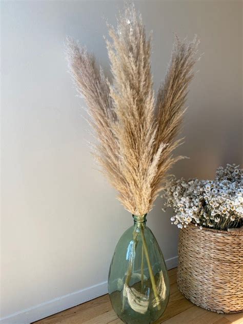Xl Pampas Grass 4 Pcs The Fluffiest Dried Natural Large Etsy Grass