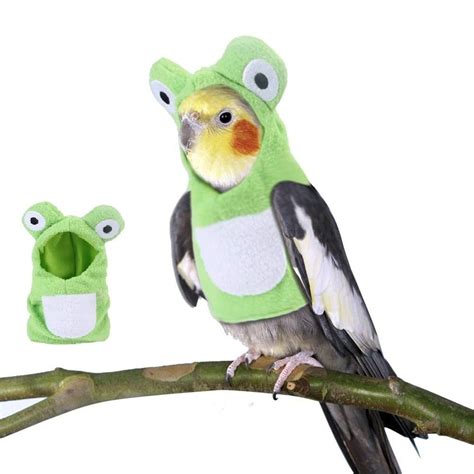 The Birds Clothes Are Made Of Wool And Polyester Which Are Comfortable