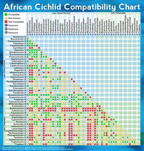 African Cichlid Compatibility Chart That Fish Place
