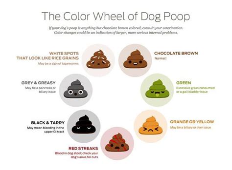 Dog Poop Color Wheel