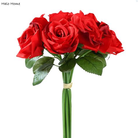 Terkeren 16 Gambar Foto Bunga Mawar Merah Gambar Bunga Indah