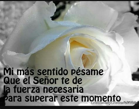 A White Rose With The Words In Spanish