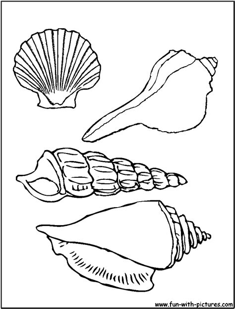 Each image has its own page in the pdf printable. pretty sea shells...ADULT COLORING BOOK PAGESMore Pins ...