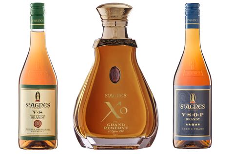10 Best Brandy Brands To Cap Off Your Night Man Of Many