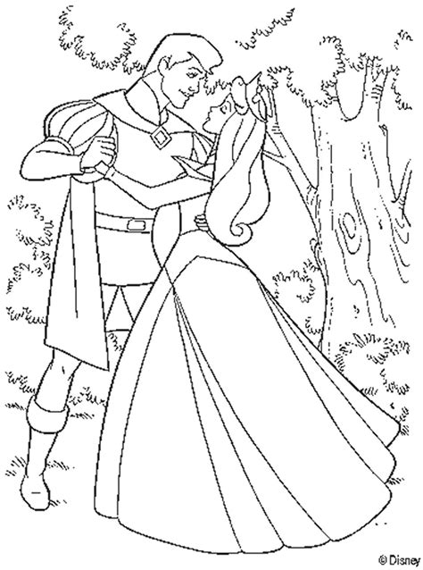 In some cases, a princess is the female hereditary head of state of a province or other significant area in her own right. Disney Princess and Prince Dancing Coloring Books