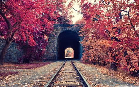 Wallpaper Sunlight Trees Fall Railway Morning Tunnel Transport