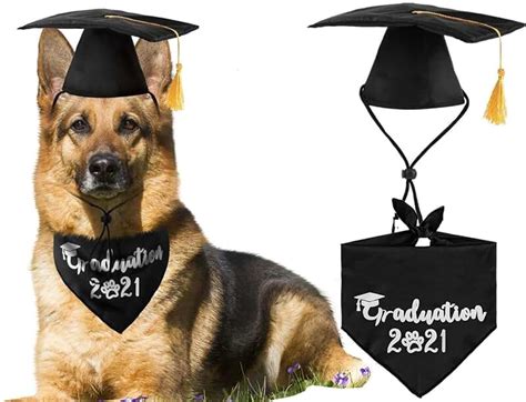Dog Graduation Cap And Gown