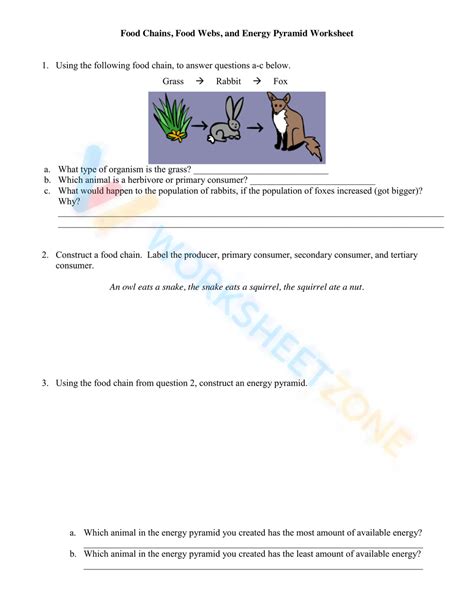 Free Food Webs And Food Chains Worksheet Collection