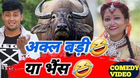 अक्ल बड़ी या भैंस 🤣🤣🤣funny Comedy 🤣 Comedy फनीविडोर Neerajpali Youtube