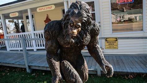 On The Trail Of Bigfoot In An Upper Peninsula Michigan Forest