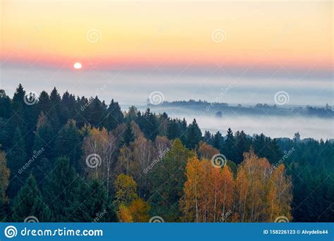 Morning Landspace With Sun Rays Beautiful Landscape With Forest And