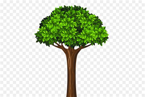 Pohon Hijau Kartun Gambar Png