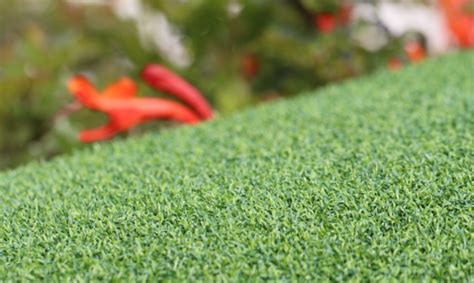 Synthetic Grass For Landscape Lawns And Residential Properties Inland