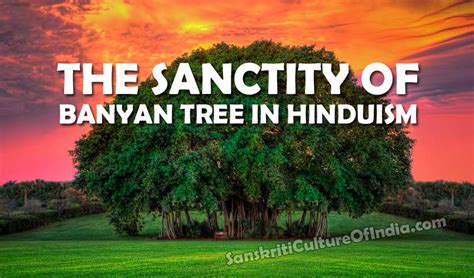 The Sanctity Of Banyan Tree In Hinduism Sanskriti Hinduism And