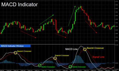 The Best Mt4 Indicators And Expert Advisors For Forex Trading