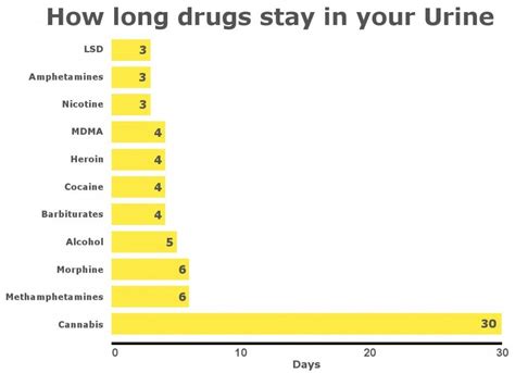 How Long Do Drugs Stay In Your Hair Blood And Urine