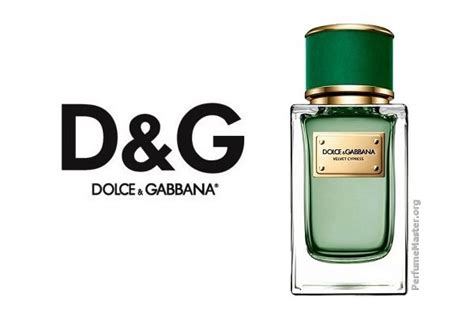 Dolce And Gabbana Velvet Cypress Fragrance Perfume News
