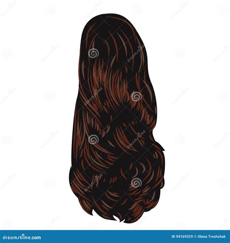 Long Brown Hair Stock Vector Illustration Of Haircare 94169329