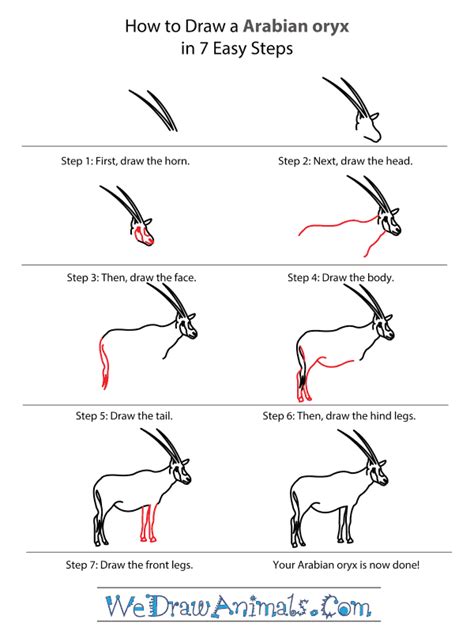 Https://tommynaija.com/draw/how To Draw A Arabian Oryx