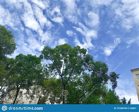 There Are Beautiful White Clouds On The Blue Sky Stock Image Image