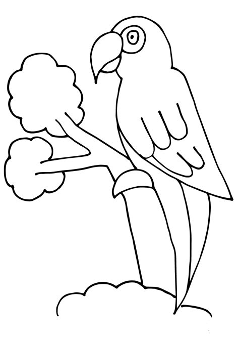 35 Free Parrot Coloring Pages Printable
