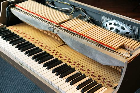 How Does A Wurlitzer Electronic Piano Work — Tropical Fish