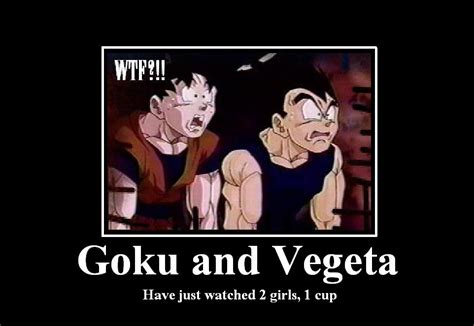 Goku And Vegeta Quotes Quotesgram