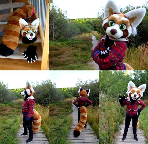 Red Panda Fursuit For Sale — Weasyl