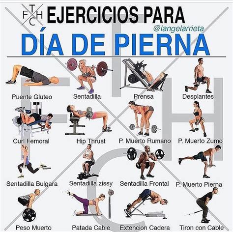 Pin By Aamour Douxx On Ejercicio Fitnes ️ Gym Plan Gym Routine Gym Tips