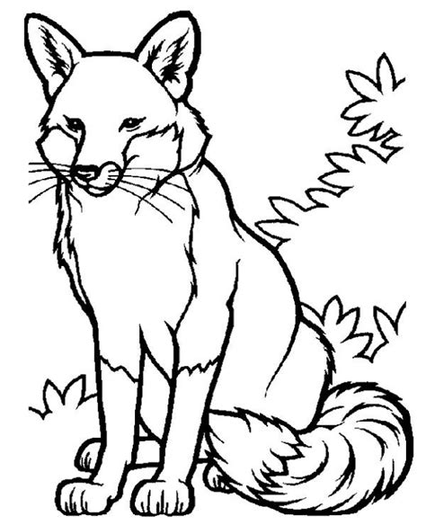 20 Animal Coloring Pages For Kids Kids Coloring Pages Etsy Uk