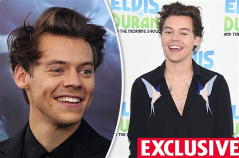 Harry Style Fans Have Forked Out On Surgery To Get The Stars Dimples