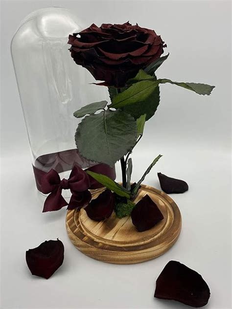 Forever Roselong Lasting Rosepreserved Rose In A Glass