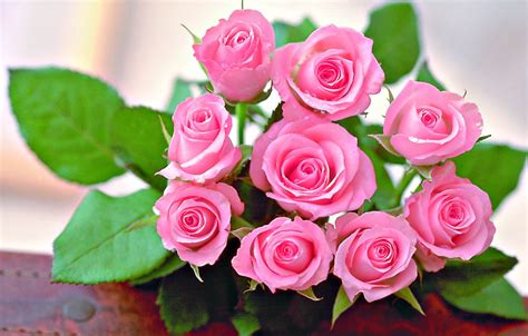 Download Koleksi 89 Gambar Indah Bunga Mawar Hd Terbaik Gambar