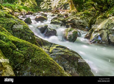 Moss Covered Stones Stock Photos And Moss Covered Stones Stock Images Alamy