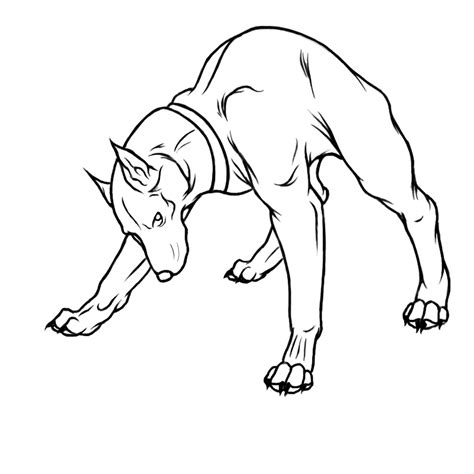 Easy drawing tutorials for beginners, learn how to draw animals, cartoons, people and comics. 35+ Ideas For Doberman Drawing Easy | Barnes Family