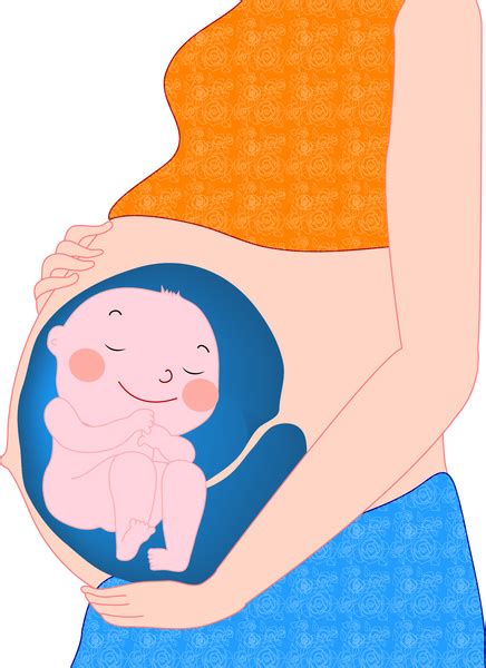 Cartoon Pregnant Woman Vectors Graphic Art Designs In Editable Ai Eps