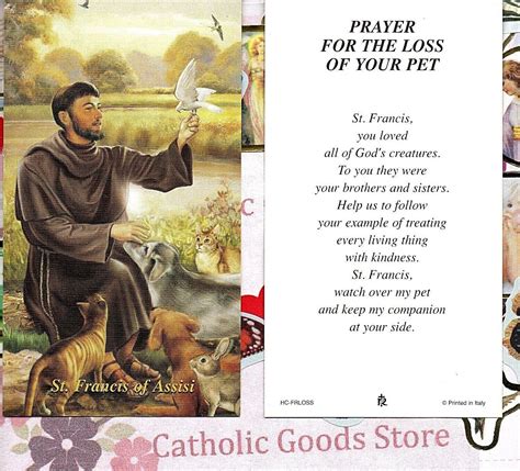 St Francis Of Assisi Prayer For The Loss Of Your Pet Paperstock