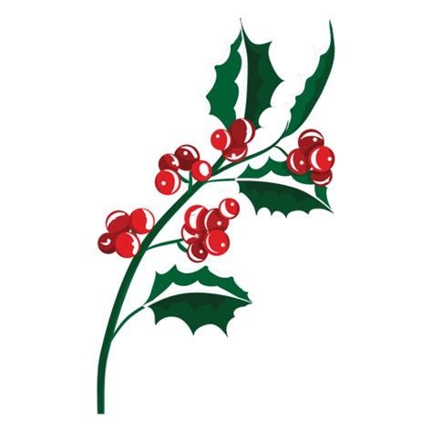 Mistletoe Branch Icon 23 Transparent Png And Svg Vector File