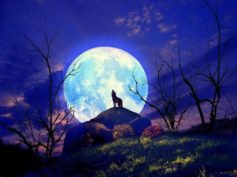 See more ideas about wolf, wolf moon, wolf art. Full Wolf Moon In Cancer, January 12th: Awareness and ...