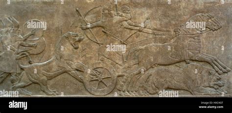 Assyrian War Chariot Hi Res Stock Photography And Images Alamy