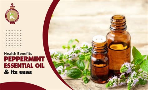 Health Benefits Of Peppermint Essential Oil And Its Uses Kush Aroma