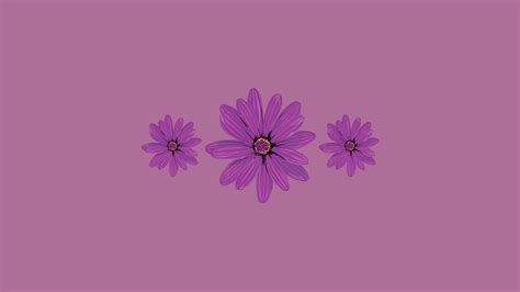 Cute Purple Aesthetic Wallpaper Desktop Free Nikki S Plate