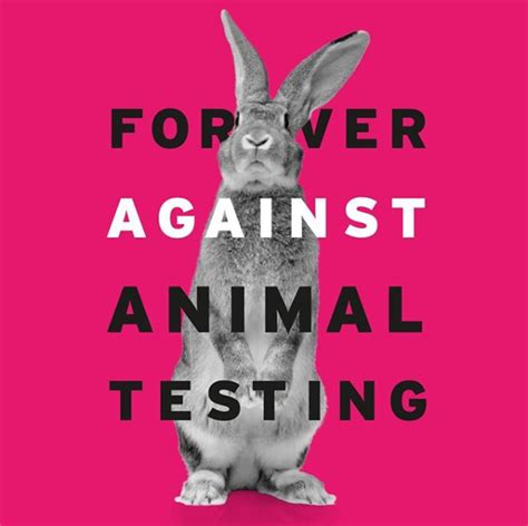 New California Legislation Could Ban Sales Of Cosmetics Tested On Animals