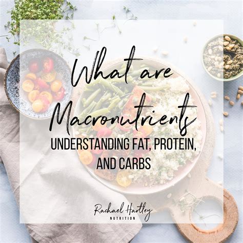 What Are Macronutrients Understanding Carbs Fat And Protein