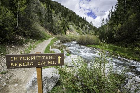 Periodic Intermittent Spring Star Valley Wyoming Wyoming Travel Road