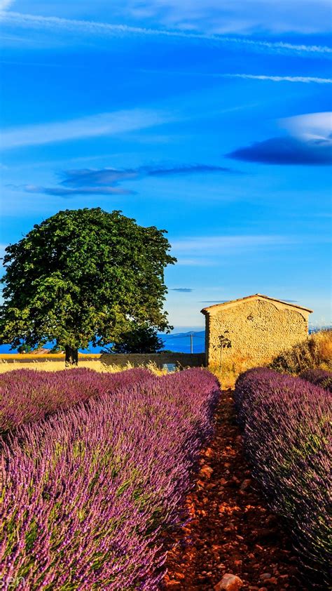 Provence France Wallpapers Wallpaper Cave