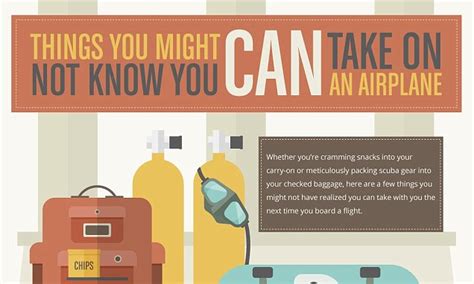 What Is Allowed On An Airplane This Infographic Reveals The Bizarre