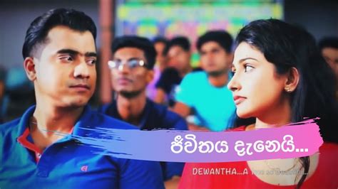Dewmi And Avantha Dewantha ජීවිතය දැනෙයි Youtube