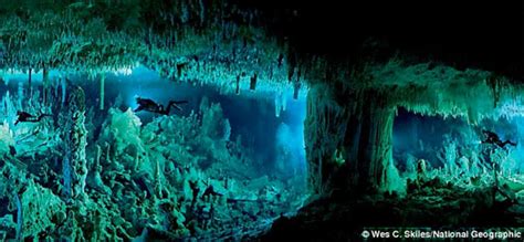 Unexpected Life In Bahamas Underwater Caves Bahamas News